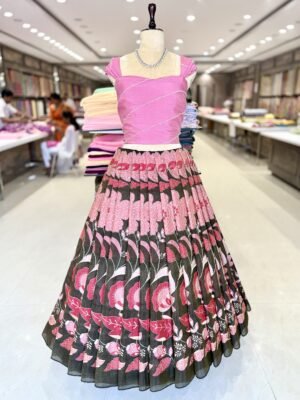 Tissue fabric with digital print along with blouse, crush silk with kardana work